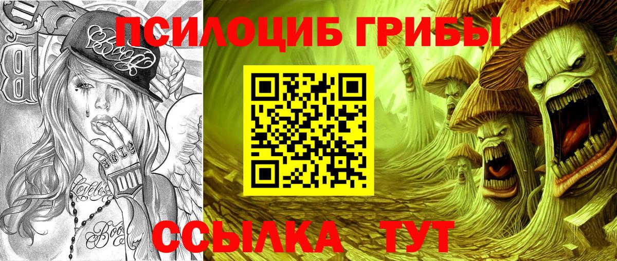 Галлюциногенные грибы Psilocybe Хасавюрт