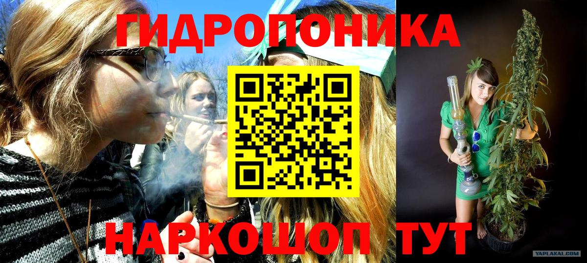 Хасавюрт  Бошки марихуана планчик  Бошки марихуана MAZAR  Канабис Ganja  Вход с VPN  Канабис THC 21% 